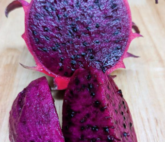 Red Jaina Dragon Fruit Variety (Deep Red Flesh)