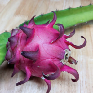 Red Jaina Dragon Fruit Variety (Deep Red Flesh)