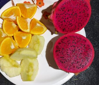 ORIJONA DRAGON FRUIT PLANT