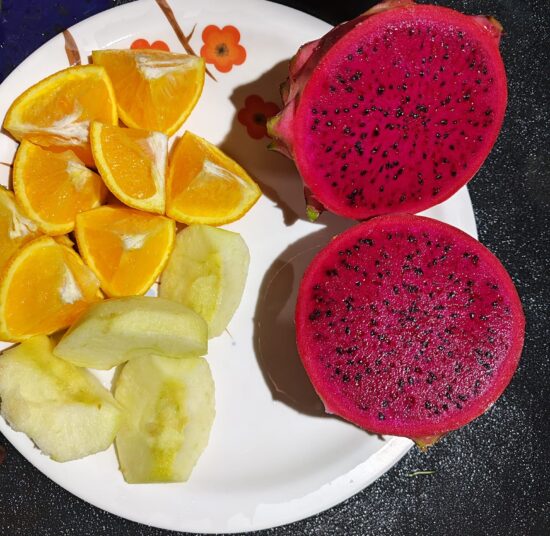 ORIJONA DRAGON FRUIT PLANT