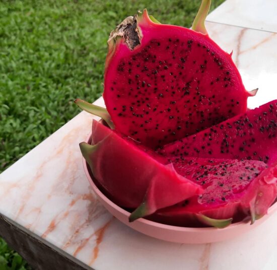 American Beauty - Red Flesh | High Sweetness | Self Pollinated