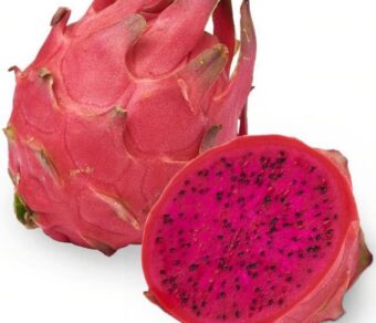 SIAM RED DRAGON - RED FLESH